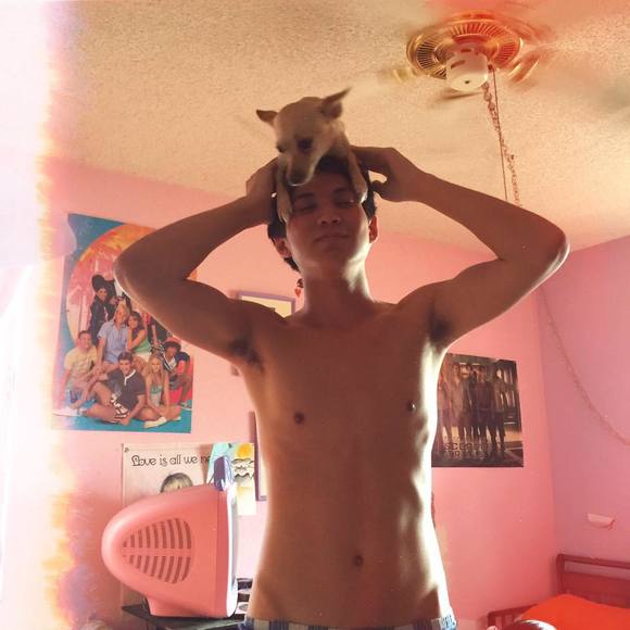 loganhaid